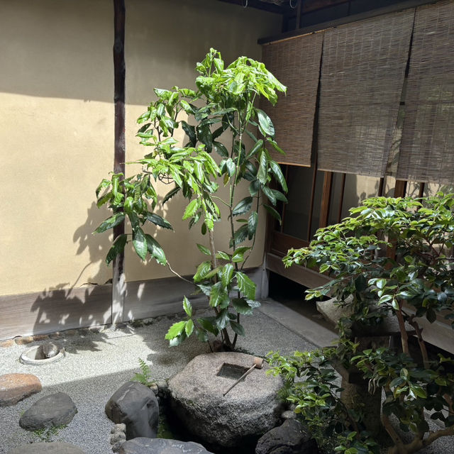 【京都：烏丸御池】有形文化財で楽しむ華わらび