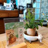 แวะร้านขนมญี่ปุ่นในพัทยาที่ SUNRISE CAFE 