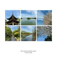 「十里花溪濕地公園：花海夢幻，春色迷人」
