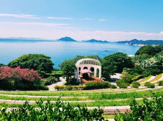 Jangsado Sea Park 장사도해상공원 까멜리아