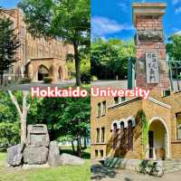 Serene Strolls at Hokkaido University