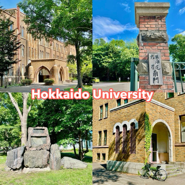 Serene Strolls at Hokkaido University