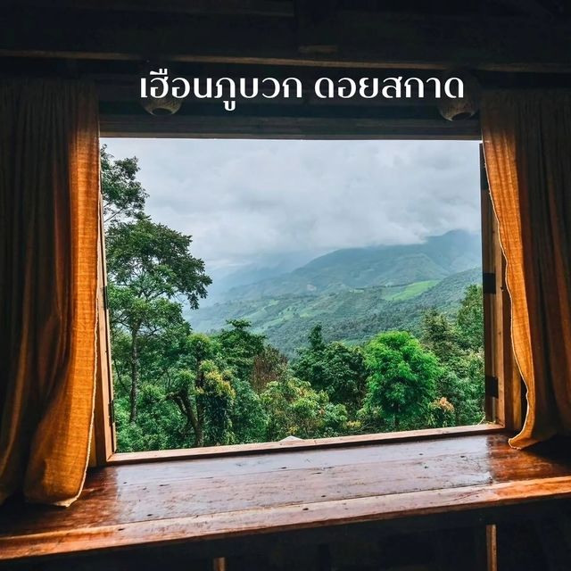 🏠 เฮือนภูบวก ดอยสกาด
