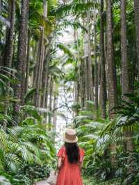 【沖縄｜沖縄市】女子旅にも子連れ旅にもおすすめ！東南植物園🌴