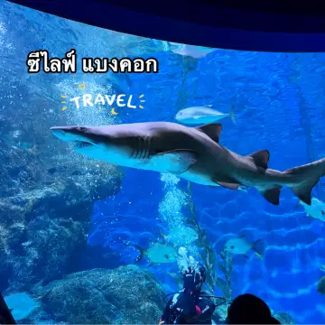 ซีไลฟ์ แบงคอก