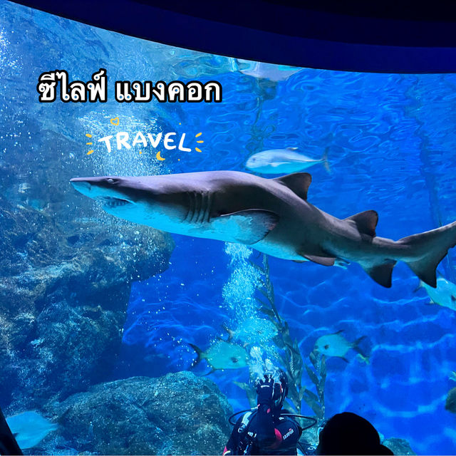 ซีไลฟ์ แบงคอก 