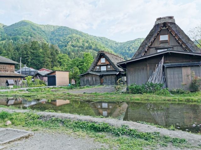 Shirakawa-go in Summer