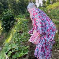 Strawberry patch kids