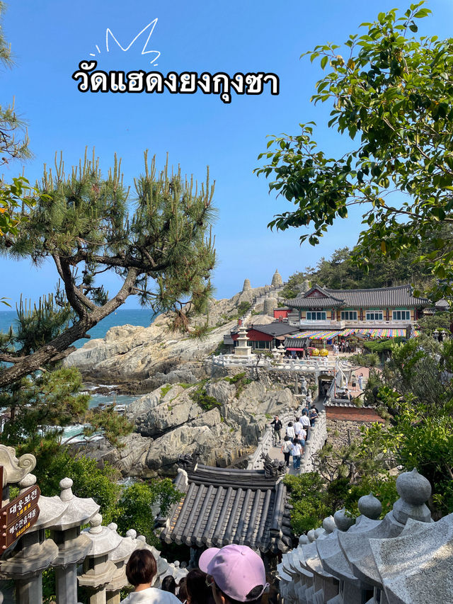 ธรรมะ vs ธรรมชาติ ที่วัดแฮดงยงกุงซา ปูซาน 🇰🇷