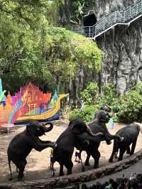 【泰國曼谷】Safari World：動物互動, 絕對好玩！