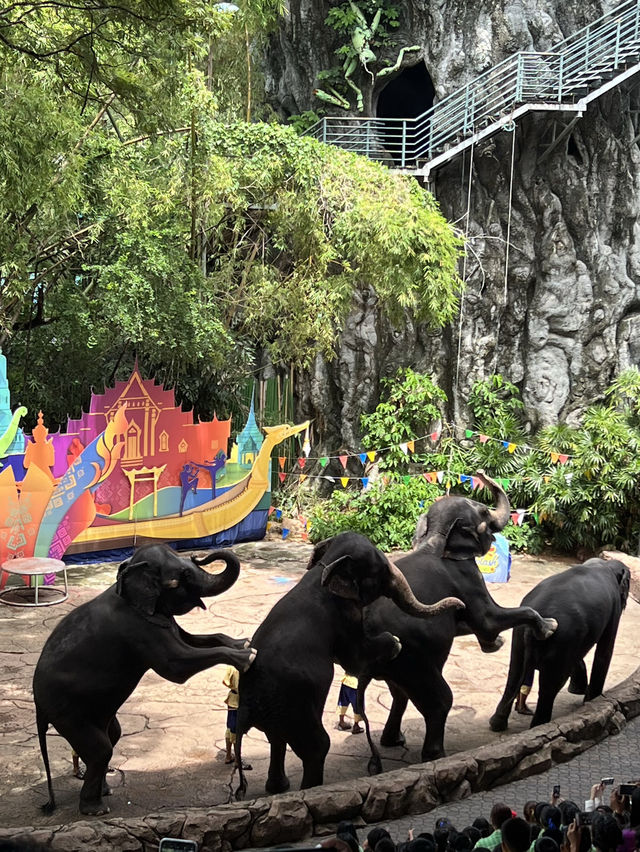 【泰國曼谷】Safari World：動物互動, 絕對好玩！