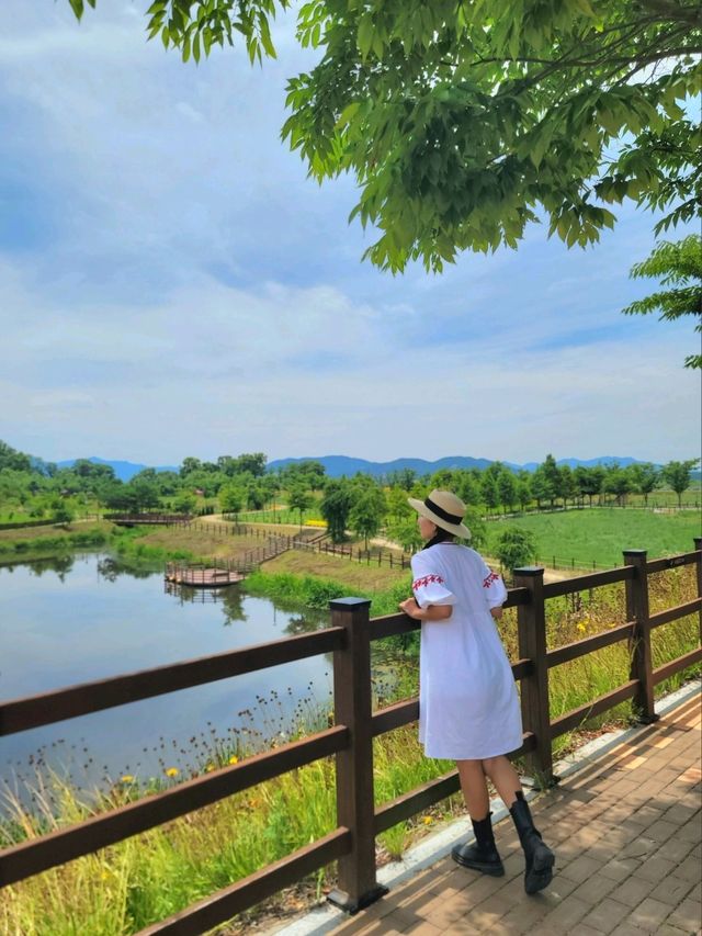 뜨겁지만 초록풍경에 힐링되는 악양생태공원💚