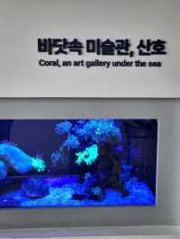 무료로 즐기는 아쿠아리움