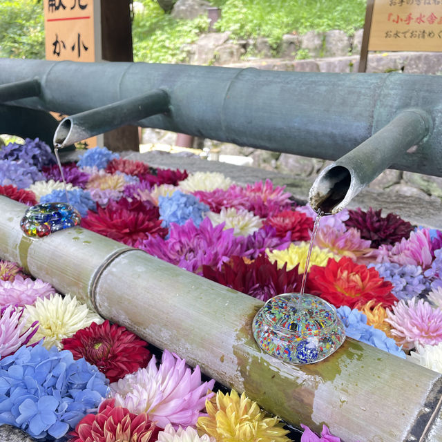 【奈良県・明日香村】紫陽花が綺麗！厄除けでも有名な岡寺へ