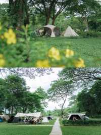 สวนยายเภาแคมป์ปิ้ง 