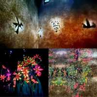 澳門永利皇宮 teamLab 藝術展：互動夢幻景象，適合親子同遊