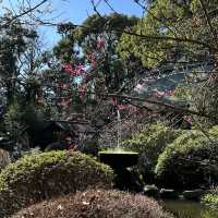 〜神奈川県〜二宮金次郎の神社！勉強運UP報徳二宮神社!
