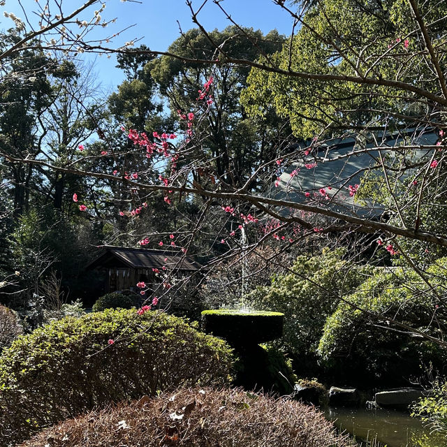 〜神奈川県〜二宮金次郎の神社！勉強運UP報徳二宮神社!