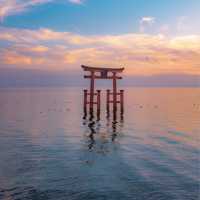 湖中に佇む大鳥居（白鬚神社・滋賀県高島市）