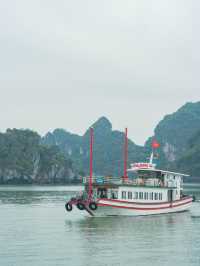 【ベトナム🇻🇳】一度は行きたいベトナムの絶景ハロン湾！