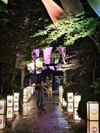 【この夏行くべき】江ノ島で体験するライトアップイベント✨