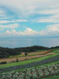 【兵庫】入場無料！淡路島にある絶景のお花畑！