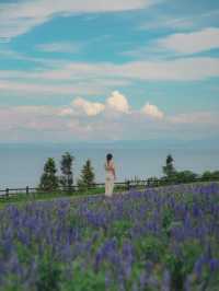 【兵庫】入場無料！淡路島にある絶景のお花畑！