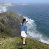 In New Zealand  Northernmost