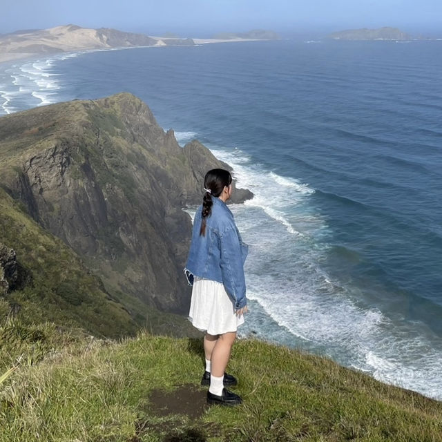 In New Zealand  Northernmost