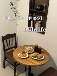韓国/ソウル【狎鴎亭】Mildlife