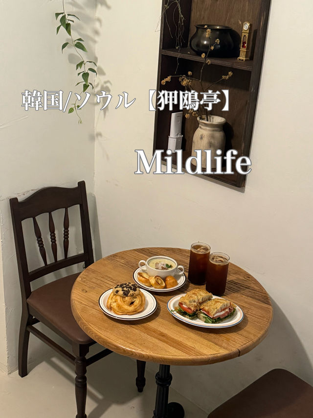 韓国/ソウル【狎鴎亭】Mildlife