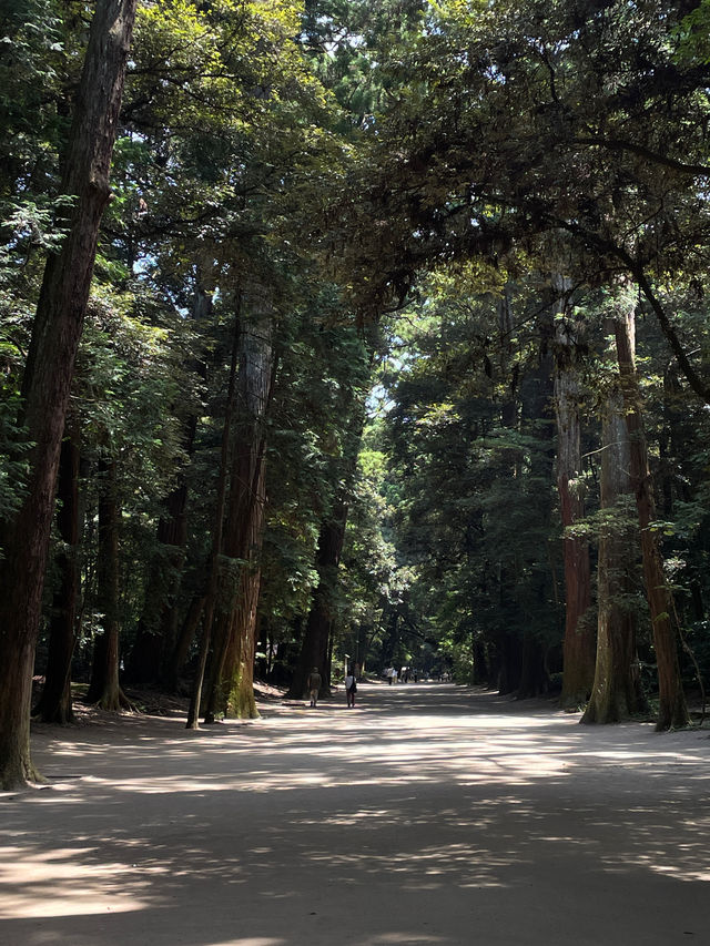 Magical day trip from Tokyo.