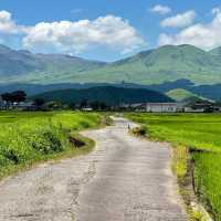 岡岳公園：大自然淨土，終生難忘的美好回憶