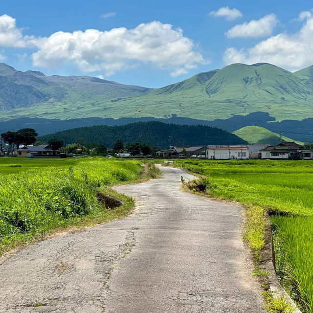 岡岳公園：大自然淨土，終生難忘的美好回憶