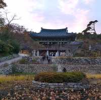 Serene Sanctuary: Naksansa Temple's Hidden Gem