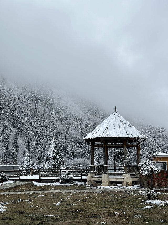 Dagu lake ทะเลสาปที่สวยราวกับหลุดไปในเทพนิยาย ❄️