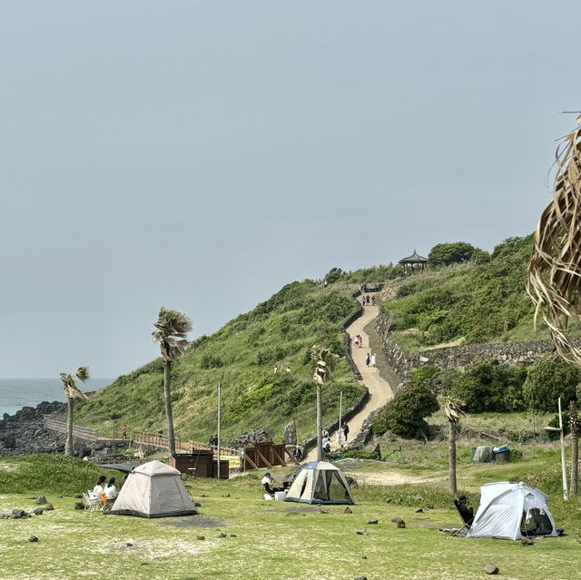 제주여행🏝️ 네번째 오름, 함덕 해변 옆 서우봉(서모봉)💚