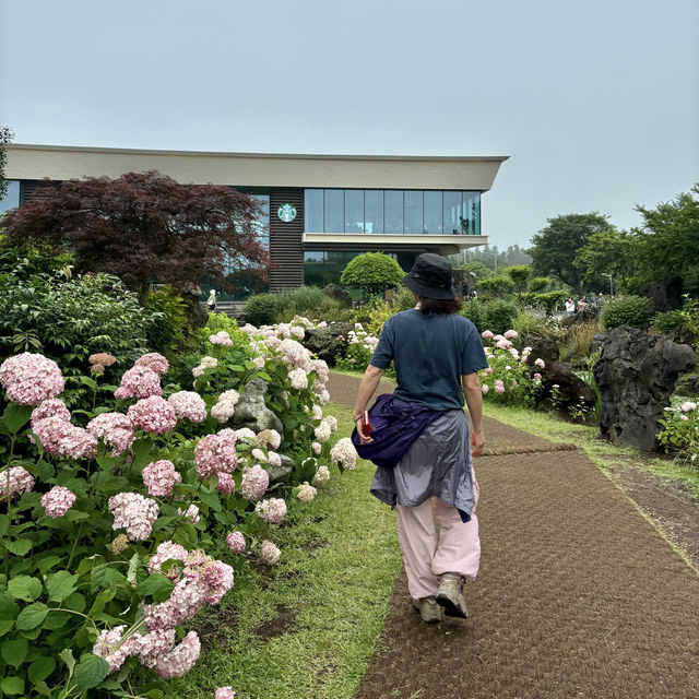 제주여행🏝️ 동쪽 송당 동화마을에서 만나는 특별한 스타벅스 파크☕️