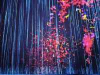 🇯🇵東京旅遊必去奇幻的Teamlab 世界