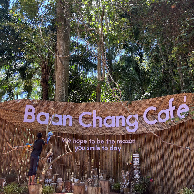 Baan Chang Cafe’ at Krabi🐘☕️🌿🌴🌴