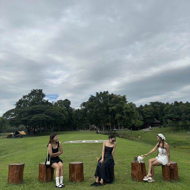 อุทยานแห่งชาติแม่ปืม 🌳