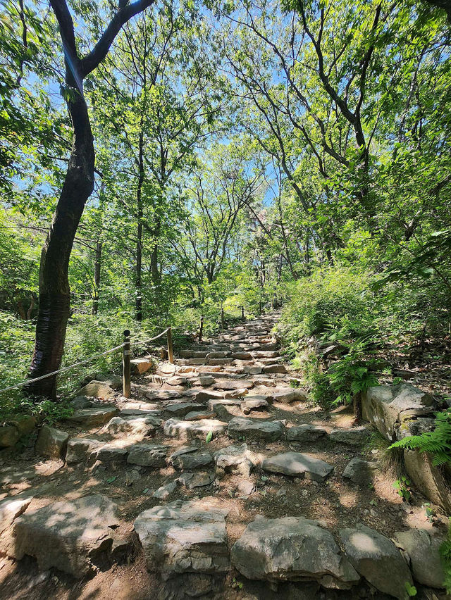 🪁🥕서울에서 등산하기 좋은 청계산