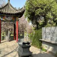 Encountering the Most Beautiful Spring at White Horse Temple