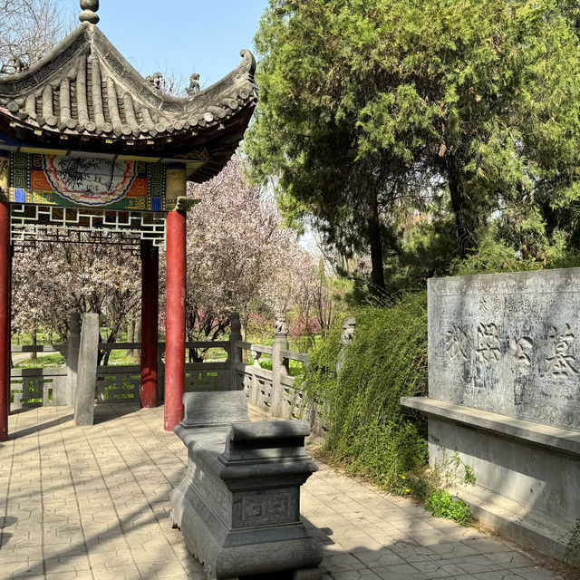 Encountering the Most Beautiful Spring at White Horse Temple