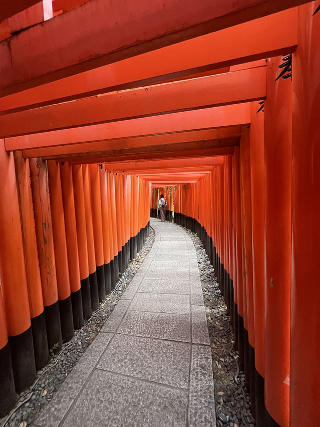 【京阪神五至七日遊】貓🐱風列車、合掌村、清水寺、心齋橋購物，穿和服遊京都