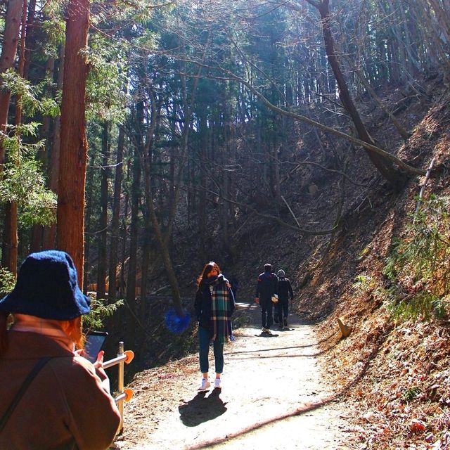 長野景點｜冬季到長野看野生獼猴泡溫泉—長野地獄谷野猿公苑