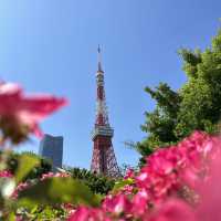 🔊話你聽點可以平住咁自駕遊東京13日