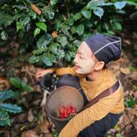 แม่ยายโฮมสเตย์ : Specialty Coffee&Home stay
