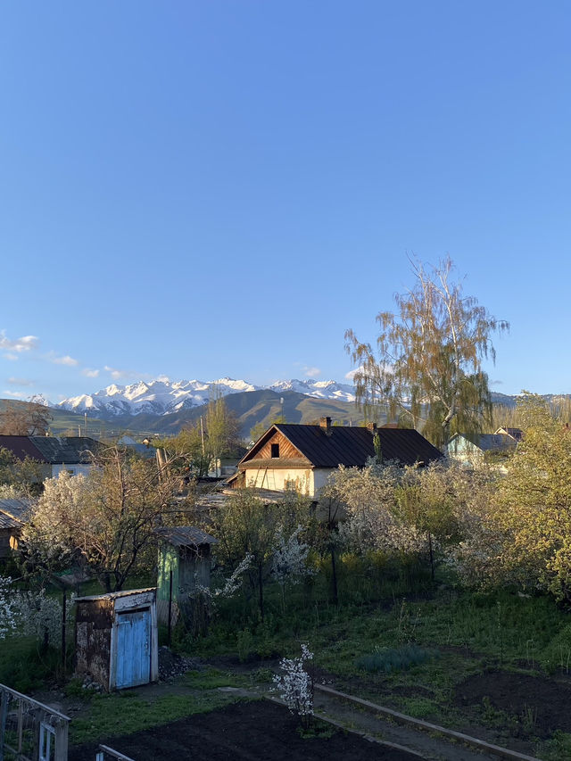 A Homey Hostel in Karakol