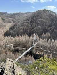 대전 출렁다리 추천🩶🩵